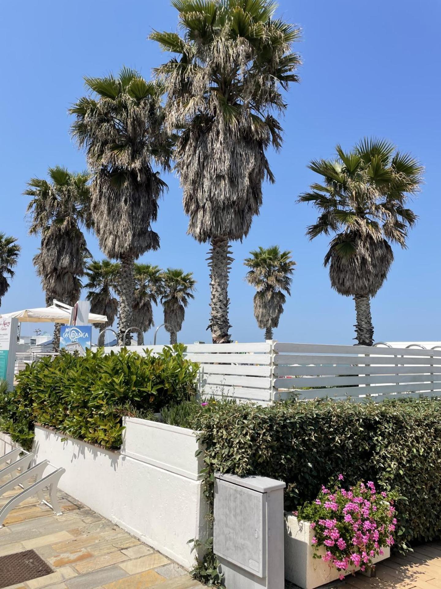 Hotel Napoleon Riccione Exterior foto